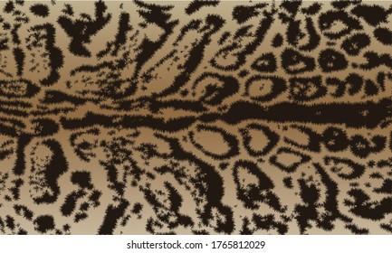 Vector illustration set of animal. Clouded tiger patterns collection.