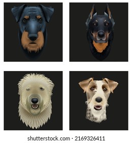 Vector illustration set. Animal head on a black background. Jagdterrier dog,  fox terrier, french beauceron dog, french briard dog .