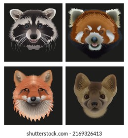 Vector illustration set. Animal head on a black background. Red fox, red panda, hyena,  siberian sable, raccoon