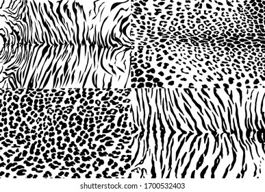 Vector illustration set of animal seamless prints. Tiger and leopard patterns collection.