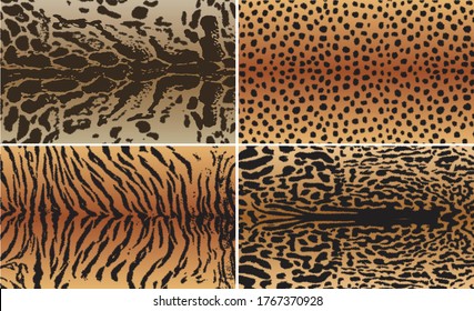 Vector illustration set of animal seamless prints. Tiger, Clouded tiger, Cheetah patterns collection.