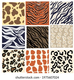 Vector illustration set of animal seamless prints. Mammals Fur. Collection of print skins. Predators. Cheetah, Giraffe, Tiger, Zebra, Leopard, dalmatian attle Jaguar