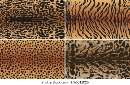 Conjunto de ilustraciones vectoriales del animal. Tigre, tigre nublado, colección de patrones de chita.