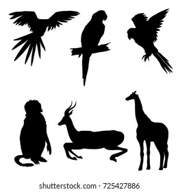 Vector illustration. Set of animals, parrot, giraffe, monkey gazelle Black silhouette 