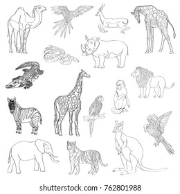 Vector illustration. Set of animals, parrot, giraffe, monkey, gazelle, elephant, rhinoceros kangaroo camel lion zebra crocodile snake tiger Black line