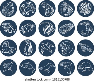 vector illustration set of animals. Such as squid, crab, fish, shrimp, seal, seahorse, walrus, shark, dolphin, stingray and manatee.
