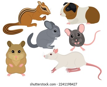 Vector illustration set animals Mouse  chipmunk  chinchilla  rat  hamster  guinea pig 