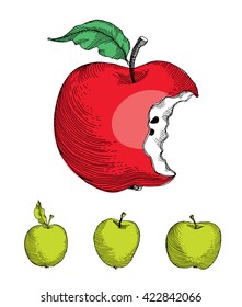 Vector illustration. Set of apples painted in engraving style