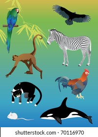 Vector illustration with set of assorted animals over colorful background