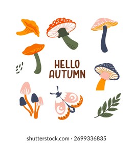 Ilustração vetorial definida com elementos de outono. Cogumelos, folhas, floresta, outono.