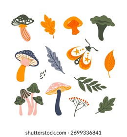 Vector illustration set with autumn elements. Mushrooms, leaves, forest, autumn.