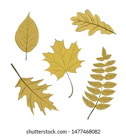 Vector illustration - set of autumn leaves of oak, maple, birch, mountain ash, linden in ocher colors. Autumn background.
