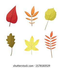 Vector illustration set of autumn leaves