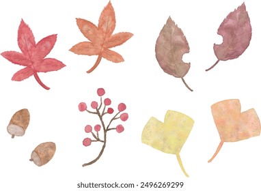 Vector illustration set of autumn leaves and berries with watercolor touch