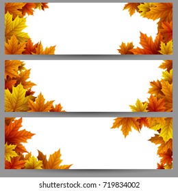 Vector illustration of Set of autumn leaves banners