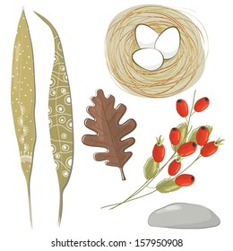Vector illustration of a set of autumn nature objects hand drawn, artistic and stylish