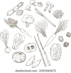 Vector illustration set of autumn and winter vegetables sketched with a pen