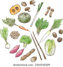 Vector illustration set of autumn and winter vegetables