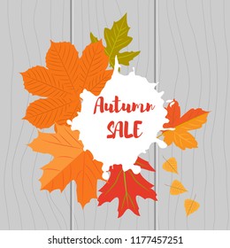 Vector illustration. Set of autumn yellow leaves and inscription Autumn sales on a wooden background