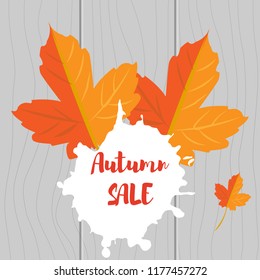 Vector illustration. Set of autumn yellow leaves and inscription Autumn sales on a wooden background