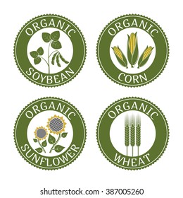 vector illustration set of badges vegetarian plants isolated on white background. Badges vegetarian plants