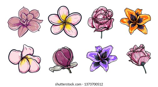 Vector Illustration set of beautiful flowers magnolia, plumeria, roses, loreto (Lilium asiatic) drawing spring flowers isolated on white background.