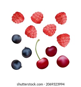 Vector illustration. Set of berries.