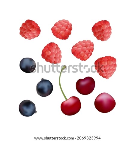 Vector illustration. Set of berries.