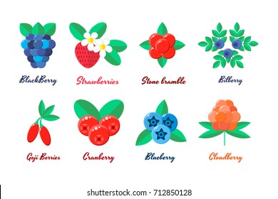 vector illustration. set berries. strawberries, blueberries, blueberries, blackberries, Goji berry, stone bramble, bilberry, cloudberry