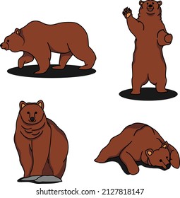 Conjunto vectorial de la gran ilustración de oso marrón en diferentes poses. 