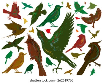Vector illustration of set of birds.