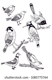 Vector illustration. Set of birds, decorative birds