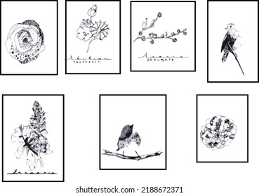 Vector illustration set of birds and flowers drawing