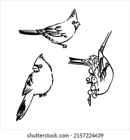 Vector illustration. Set of birds on branch, leaves