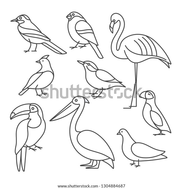 ハト ヌタッチ フラミンゴ トゥーカンなどの鳥のベクターイラストセットがトレンディな線形で描かれています 白い背景に のベクター画像素材 ロイヤリティフリー