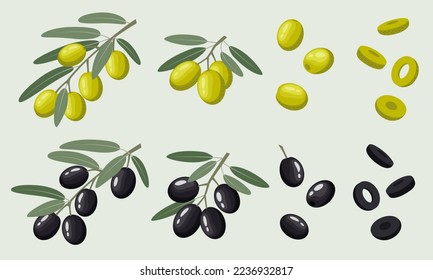 Ilustración vectorial de un conjunto de aceitunas negras y verdes. Ramas con aceitunas con hojas, bayas individuales y anillos de arándanos cortados. Ilustración vegetal en un estilo plano sobre un fondo azul.