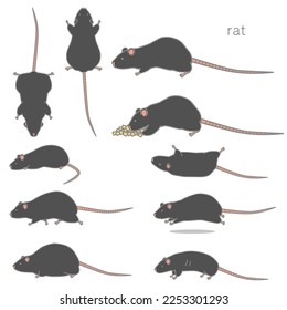 Ilustración vectorial de rata negra (comiendo, agitando, fumando, degollado, corriendo, engordando, adelgazando)