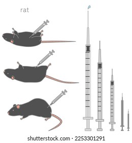 Vector illustration set of black rats being injected with syringes of various sizes and injections