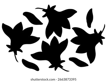 Ilustración vectorial de un conjunto de siluetas negras de flores de hibisco, Formas abstractas