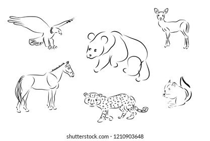 Vector illustration set of black and white animals