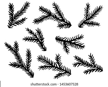 Vector Illustration Set: Black and White Fir Branches / Isolated