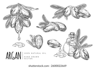 Vector illustration of set in black and white outline style with nuts, leaves and bottle of argan oil. Moroccan tree. Food, cosmetic and medical product. Isolated background. Vintage style.