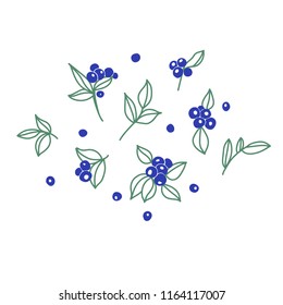 Vector illustration  with set of  blueberries. Blueberries and leaves on white background