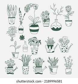 Vector illustration set of botanical cactus element design vol 4