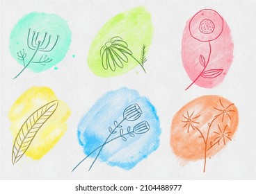 ilustración vectorial, conjunto de ilustraciones botánicas, flores y líneas vegetales