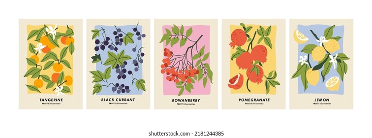 Vector illustration set of botanical posters with different fruits. Art for for postcards, wall art, banner, background