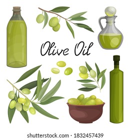 Vector illustration of a set of bottles and a jug of olive oil, a plate of pickled olives, branches and fruits. Packaging or advertising design for olive business and oil