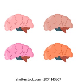 Vector illustration set of a brain organ from the side, suitable for advertising health and education products