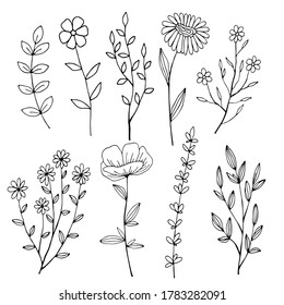 vector illustration, set of branches with leaves and flowers, in black, tattoo, isolate on a white background
