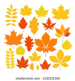 Vector illustration, set of bright autumn leaves in a simple flat style